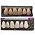 Dente Dent Clean Anterior 58 Superior - Imodonto - Imagem 1