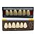 Dente Dent Clean Anterior 3P Superior - Imodonto - Imagem 4