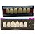 Dente Dent Clean Anterior 4H Superior - Imodonto - Imagem 5