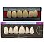 Dente Dent Clean Anterior 4H Superior - Imodonto - Imagem 3