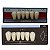 Dente Dent Clean Anterior A26 Inferior - Imodonto - Imagem 3
