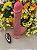 Pênis Dildo Realístico com Ventosa com Vibro 22,5x4,5 cm - Imagem 4