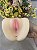 Masturbador Vagina e ânus - Imagem 6