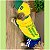Macacão Uniforme de Jogador de Futebol | Brasil | Estampa personalizada com o nome do pet - Imagem 3