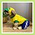 Macacão Uniforme de Jogador de Futebol | Brasil | Estampa personalizada com o nome do pet - Imagem 4