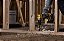 Parafusadeira/furadeira de Impacto 1/2 Pol. 13mm Compacta 20v Max* Xr Brushless Sem Bateria e Carregador - Dcd805b-b3 - Dewalt - Imagem 6