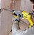 Martelete Perfurador/rompedor Sds-plus 20v Max - Sbh900b-b3 - Stanley - Imagem 8