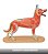 Anatomia Do Cachorro  11 Partes B152 - Mogiglass - Imagem 4
