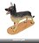 Anatomia Do Cachorro  11 Partes B152 - Mogiglass - Imagem 2