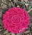 Fio Sublimis rosa escuro 8182 - 100% poliéster – 4mm - Imagem 2