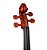 Violino 3/4 Eagle VE-431 - Imagem 10