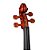 Violino Eagle 3/4 VE-431 - Imagem 3