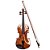 Violino Spring 4/4 VS-44 - Imagem 1