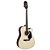 Violão Aço Folk Giannini GDC-1 CEQ NS Natural Satin - Imagem 4