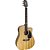 Violão Aço Folk Giannini GF-1D CEQ ZW Natural Zebra Wood - Imagem 7