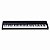 Piano Digital Korg B2N - Imagem 13