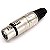 Plug XLR Femea Cabo Santo Angelo L3FNN01 - Imagem 18
