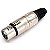 Plug XLR Femea Cabo Santo Angelo L3FNN01 - Imagem 20