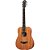 Violão Aço Baby Taylor BT2E WMS00151 Com Capa - Imagem 4