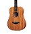 Violão Aço Baby Taylor BT2E WMS00151 Com Capa - Imagem 20