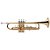 Trompete Michael WTRM30N - Imagem 1