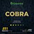 Encordoamento Para Violão Aço 0.11 Giannini GEEFLKF Cobra F.Bronze - Imagem 4