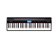Teclado 61 Teclas Roland GO-61P Piano - Imagem 2