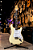 Guitarra Stratocaster PRS SE John Mayer Silver Sky Moon White Com Capa - Imagem 13