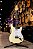 Guitarra Stratocaster PRS SE John Mayer Silver Sky Moon White Com Capa - Imagem 5