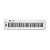 Controlador Midi USB 61 Teclas Branco Samson Carbon 61 - Imagem 1
