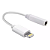 Adaptador Lightning P2 - Imagem 17