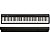 Piano Digital 88 Teclas Roland FP-10 Preto (Com Estante) - Imagem 1
