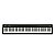 Piano Digital 88 Teclas Roland FP-10 Preto (Com Estante) - Imagem 18