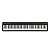 Piano Digital 88 Teclas Roland FP-10 Preto (Com Estante) - Imagem 5