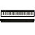 Piano Digital 88 Teclas Roland FP-10 Preto (Com Estante) - Imagem 15