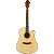 Violão Aço Folk Benson GDM100CE NS Natural Satin (VTR) - Imagem 6