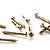 Parafuso Trocolo Dourado WO4.5X45-GD (24 Unidades) Spirit - Imagem 1
