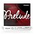Corda Avulsa Violino MI D Addario Prelude J811 4/4M - Imagem 1