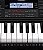 Teclado Arranjador 61 Teclas Casio CT-X800 Preto - Imagem 17