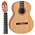 Violão Nylon Clássico Yamaha C40MII NT Natural - Imagem 17