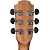 Violão Aço Folk Benson EXD500CE MAH NS Com Capa - Imagem 14