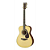 Violão Aço Yamaha LS6M Natural Com Case - Imagem 9