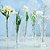 VASO VIDRO LOVE SEED 6x15cm - WOLFF - Imagem 4