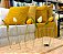 Vaso Vidro 6 Tubos Ensaio 4,5x38x15 Lilian Gift - Imagem 1