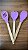 Kit 3 Colheres Silicone Roxo Cabo De Madeira Casíta - Imagem 6