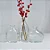 Kit 3 Vasos Organics Vidro Decor Wolff Transparente - Imagem 4