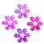 Forma de Silicone - Flor 6 petalas - Imagem 2