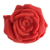 Forma de Silicone - Rosa aberta - Imagem 2