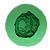 Forma de Silicone - Peônia - Imagem 3