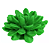 Forma de Silicone - Suculenta GG - Imagem 2